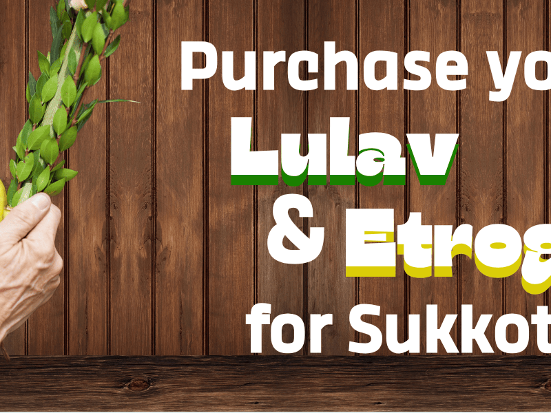 Buy your own Lulav and Etrog Set