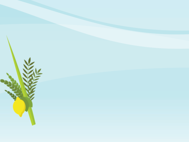 Do the Lulav & Etrog Shake